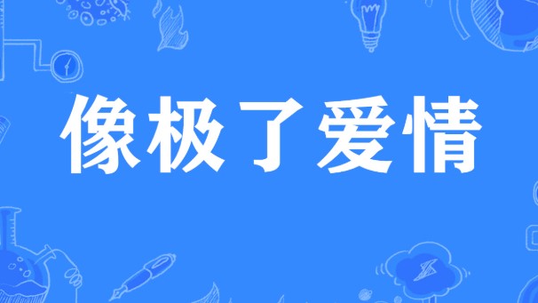 像极了爱情是什么梗？