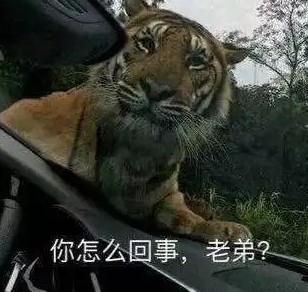 你怎么回事老弟是什么梗？