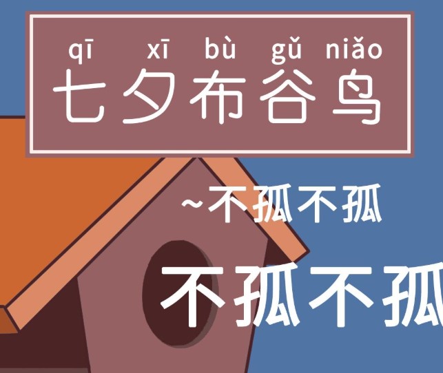 七夕布谷鸟是什么梗？