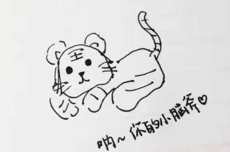 小脑斧是什么梗？