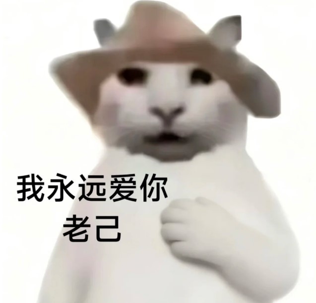 爱你老己是什么梗？