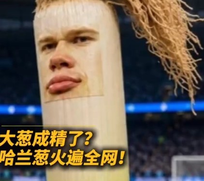 哈兰葱是什么梗？是什么意思？