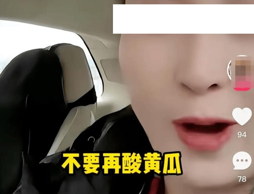 我们都是酸黄瓜什么梗？什么意思？