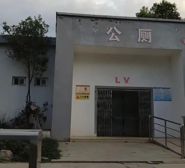 出门上LV是什么梗？
