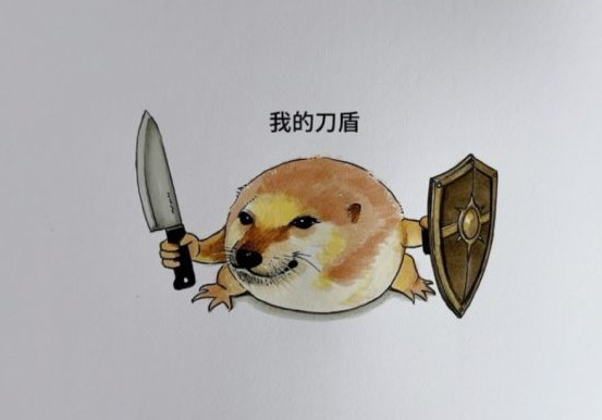 我的刀盾是什么意思？什么梗？