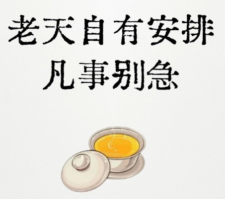别管自有安排是什么意思？什么梗？
